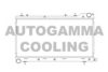 AUTOGAMMA 104704 Radiator, engine cooling